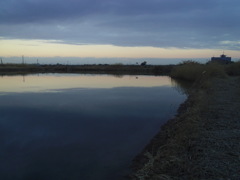 2017/02/25_溜め池の夕暮れ