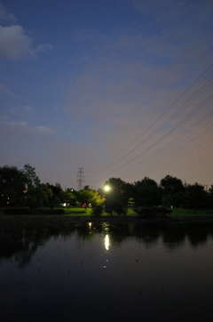 2015/10/04_夕暮れの平成の森公園