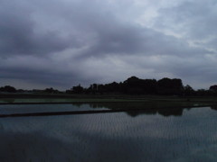 2017/05/27_水田の曇天