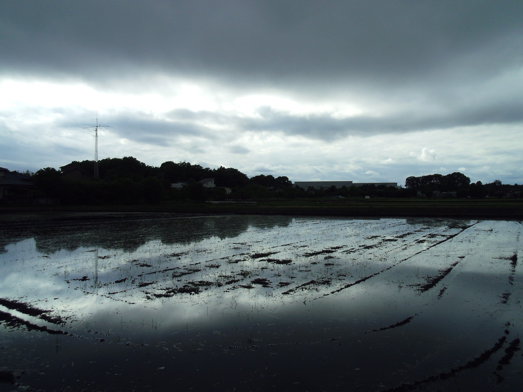 2017/05/14_水田の曇天