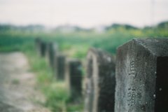 2016/04/03_馬頭観音群