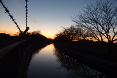 2015/12/26_見沼代用水の夕暮れ