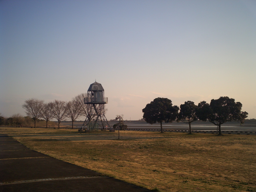2014/03/23_塔と木