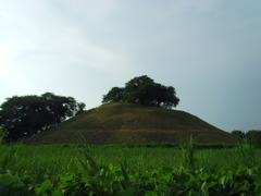 2017/07/09_さきたま古墳公園 丸墓山古墳