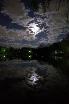 2014/12/06_月夜の北本総合公園