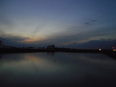 2017/02/26_溜め池の夕暮れ