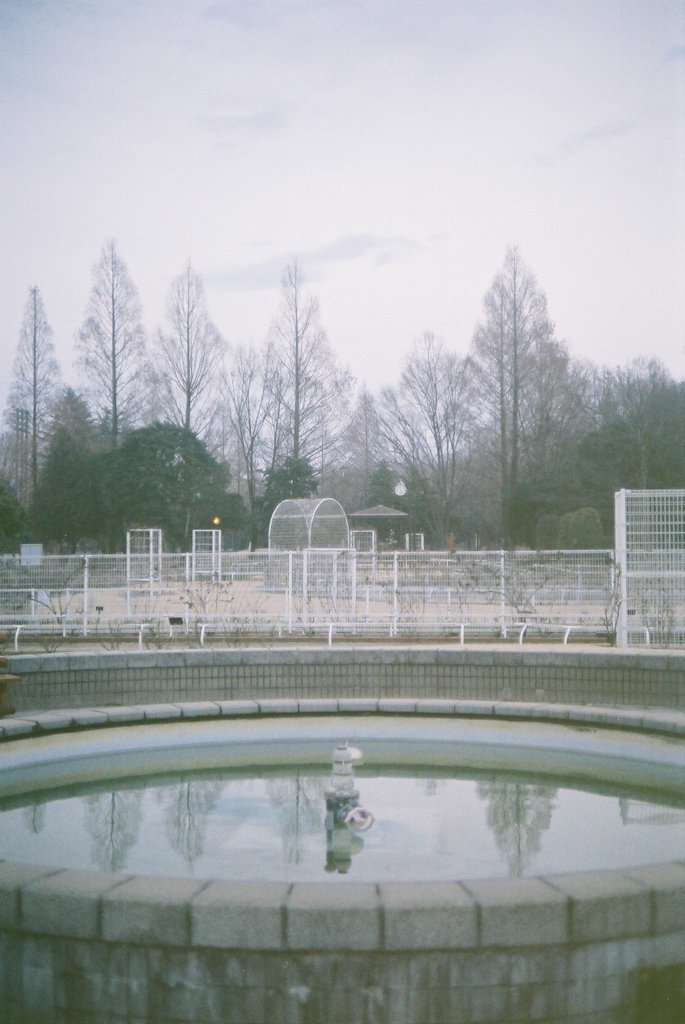 2016/02/13_夕暮れの伊奈町制施行記念公園