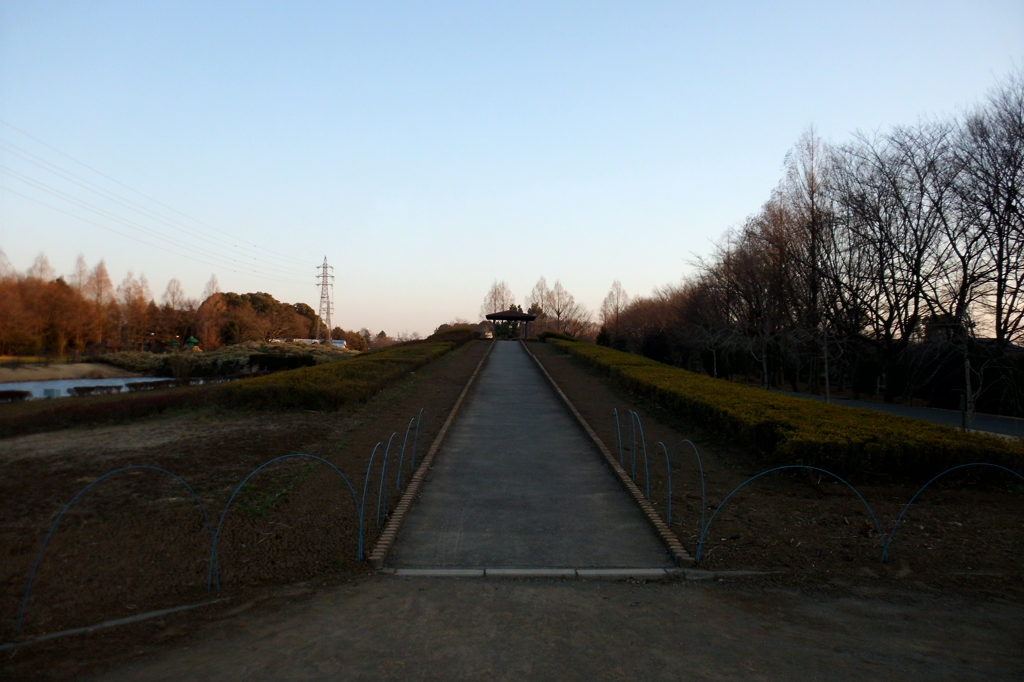 2015/02/15_花の丘農林公苑