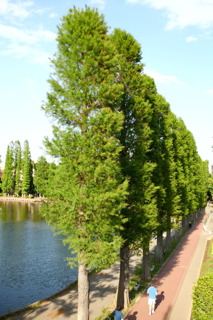 2014/05/18_別所沼公園