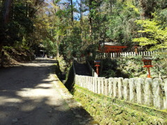 2019/04/13_鞍馬寺 参道