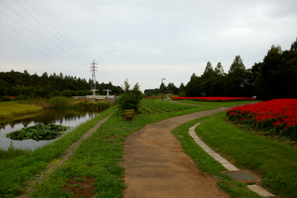 2016/09/11_花の丘農林公苑