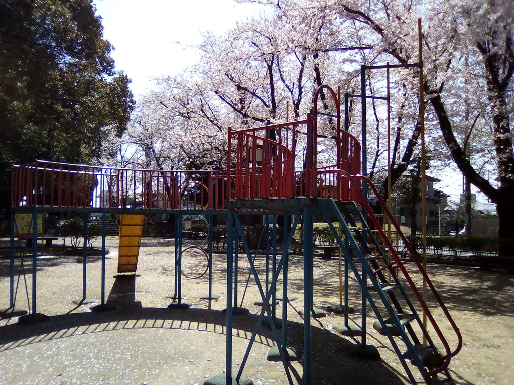 2019/04/06_氷川児童公園の桜