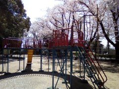 2019/04/06_氷川児童公園の桜