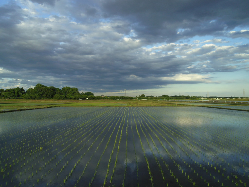 2017/06/04_水田に雲