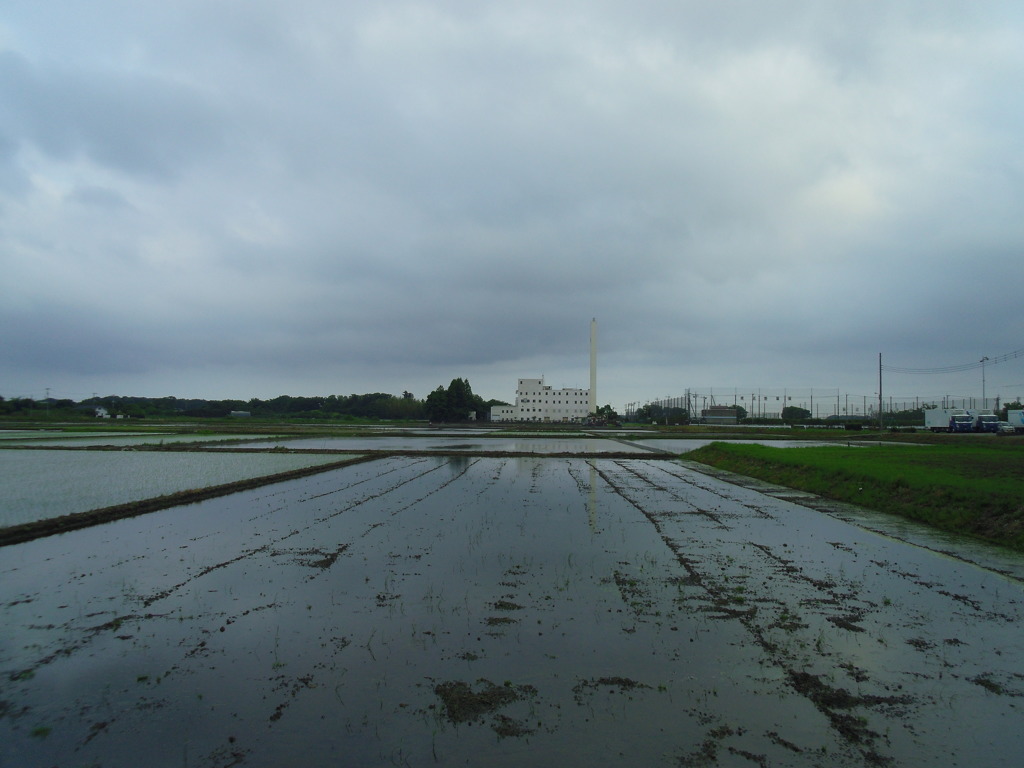 2017/05/27_水田の曇天と伊奈町クリーンセンター