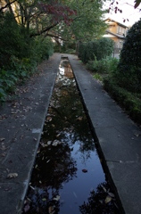 2014/11/15_鴨川みずべの里