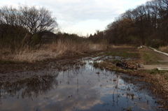 2016/03/26_北本自然観察公園