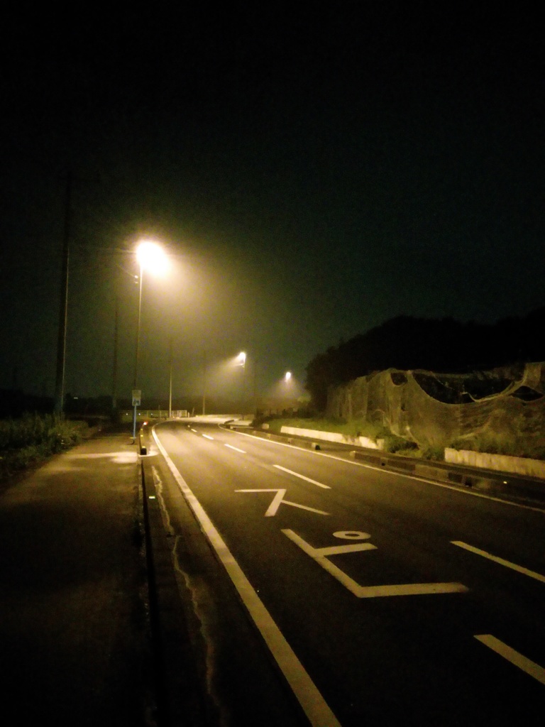 2016/09/24_薄ら靄の夜道