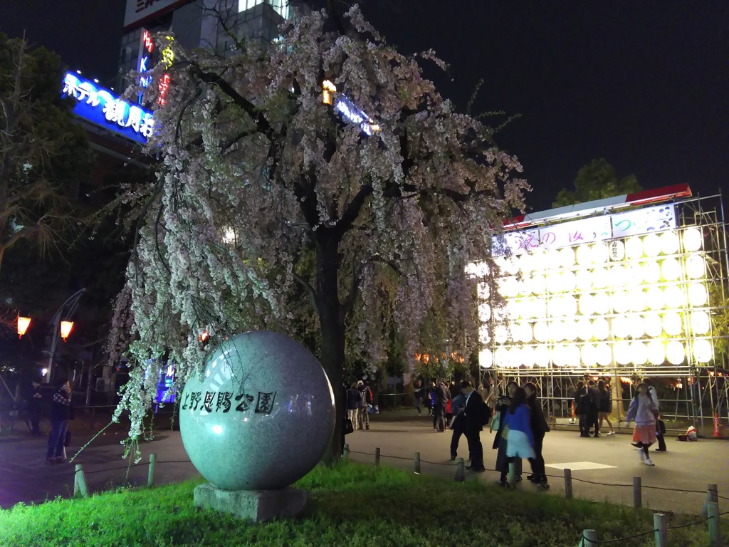 2017/04/06_上野公園の夜桜