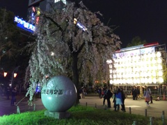 2017/04/06_上野公園の夜桜