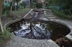 2014/11/15_鴨川みずべの里