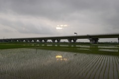 2015/07/05_水田に曇天