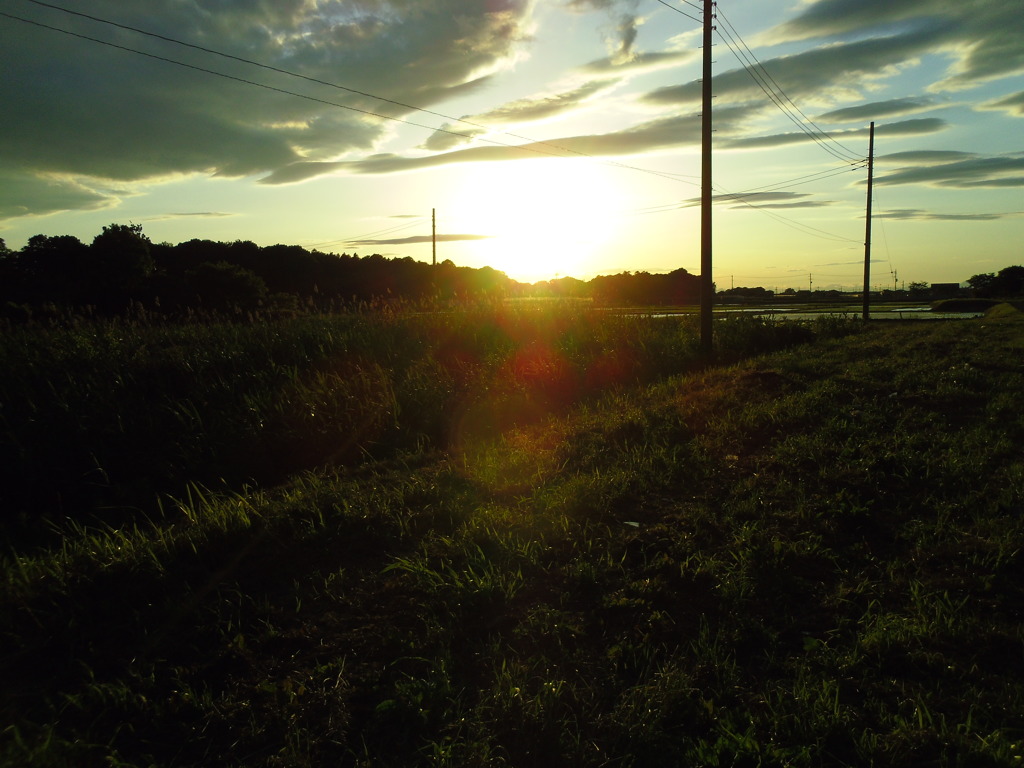 2017/06/04_西日を浴びる田園