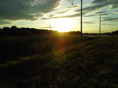 2017/06/04_西日を浴びる田園