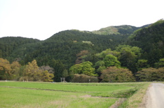 2014/04/19_山の麓の神社