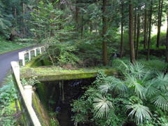 2017/10/09_外秩父山中の苔むした橋