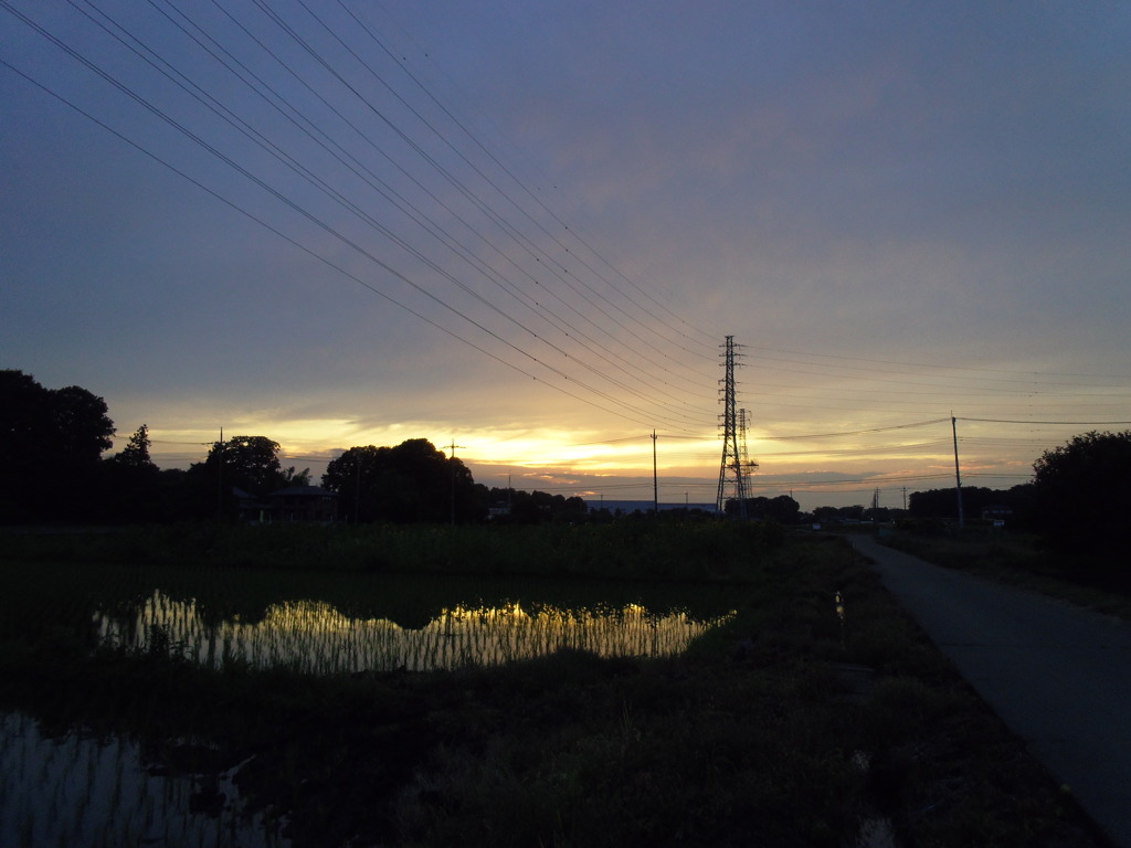 2017/06/25_水田の夕暮れ