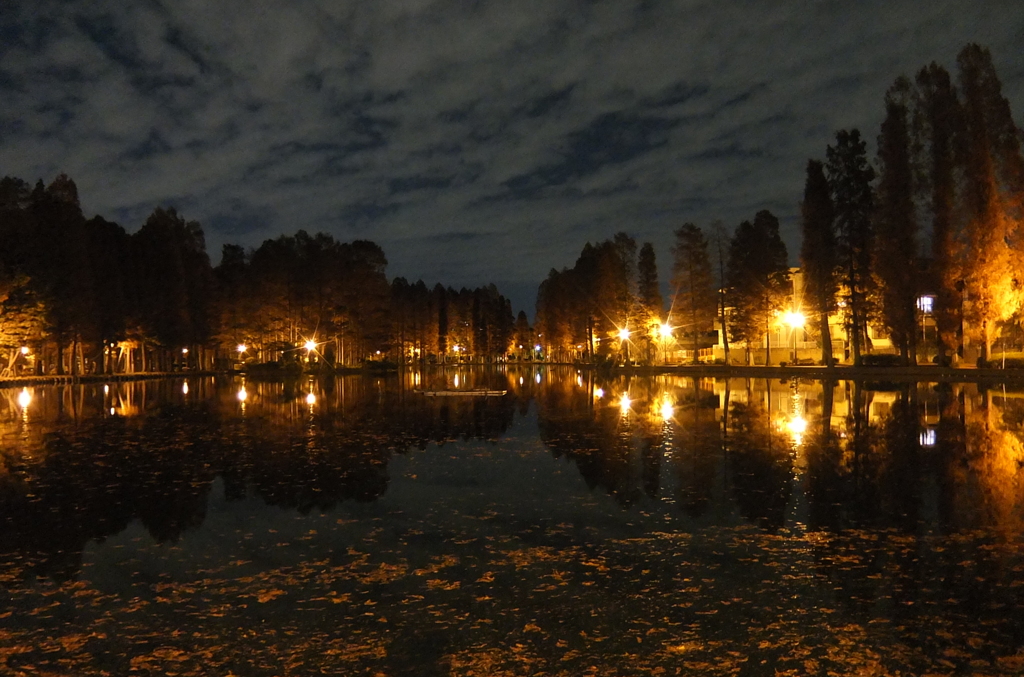 2014/12/07_夕暮れの別所沼公園