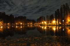 2014/12/07_夕暮れの別所沼公園