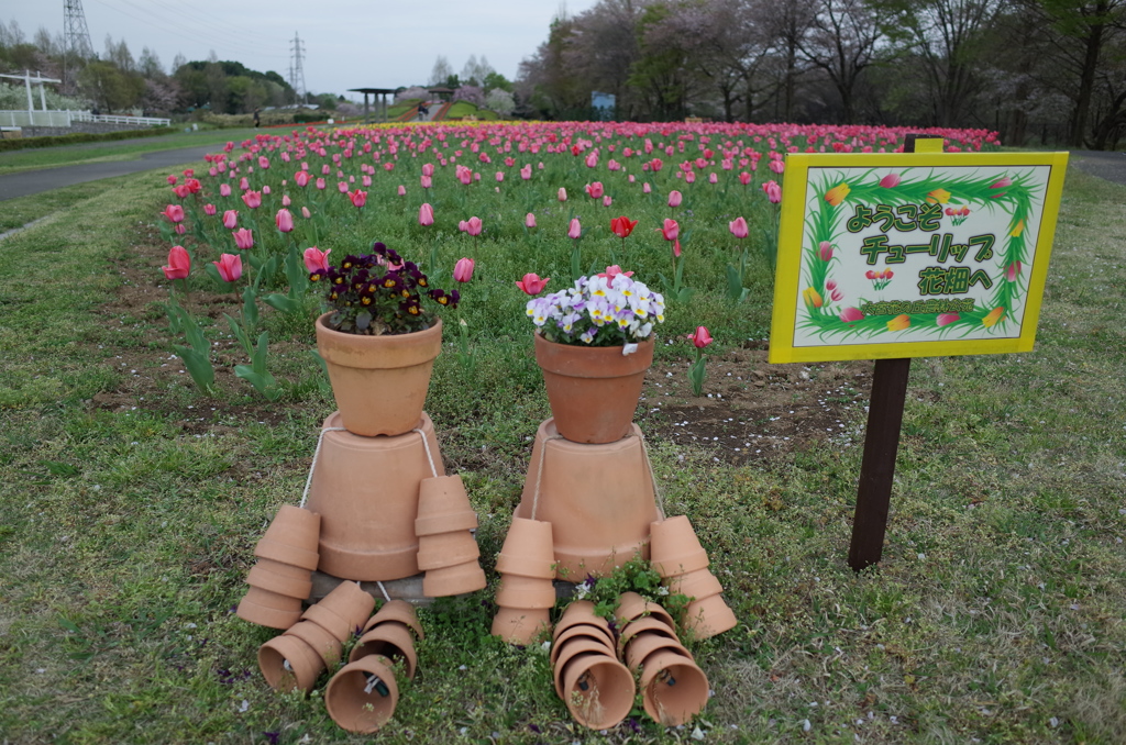 2016/04/09_花の丘農林公苑のチューリップ
