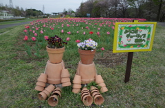 2016/04/09_花の丘農林公苑のチューリップ