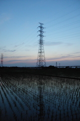 2016/06/18_水田の夕暮れ