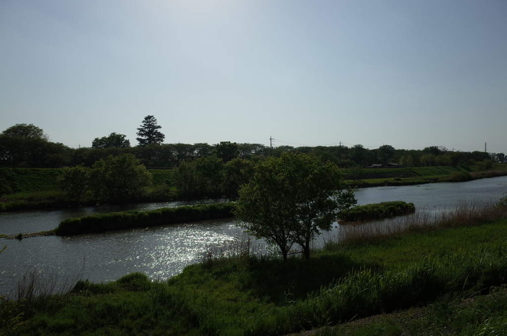 2015/04/26_光る中川