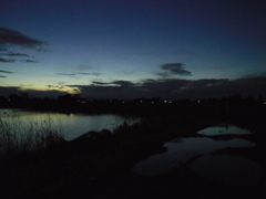 2017/01/09_水溜まりと溜め池の夕暮れ