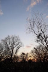 2015/12/31_夕暮れ