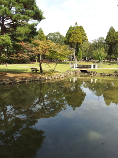 2016/10/18_奈良公園 浅茅ヶ原園地の池に空