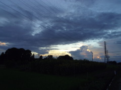 2016/07/31_ひまわり畑の夕暮れ