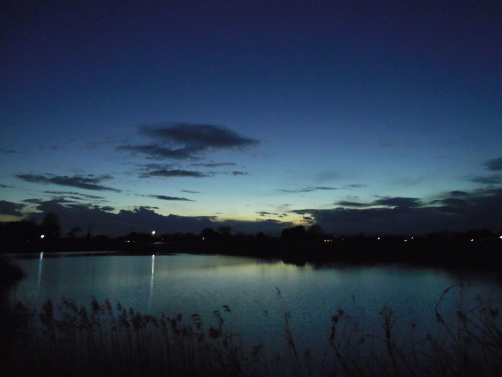 2017/01/09_溜め池の夕暮れ