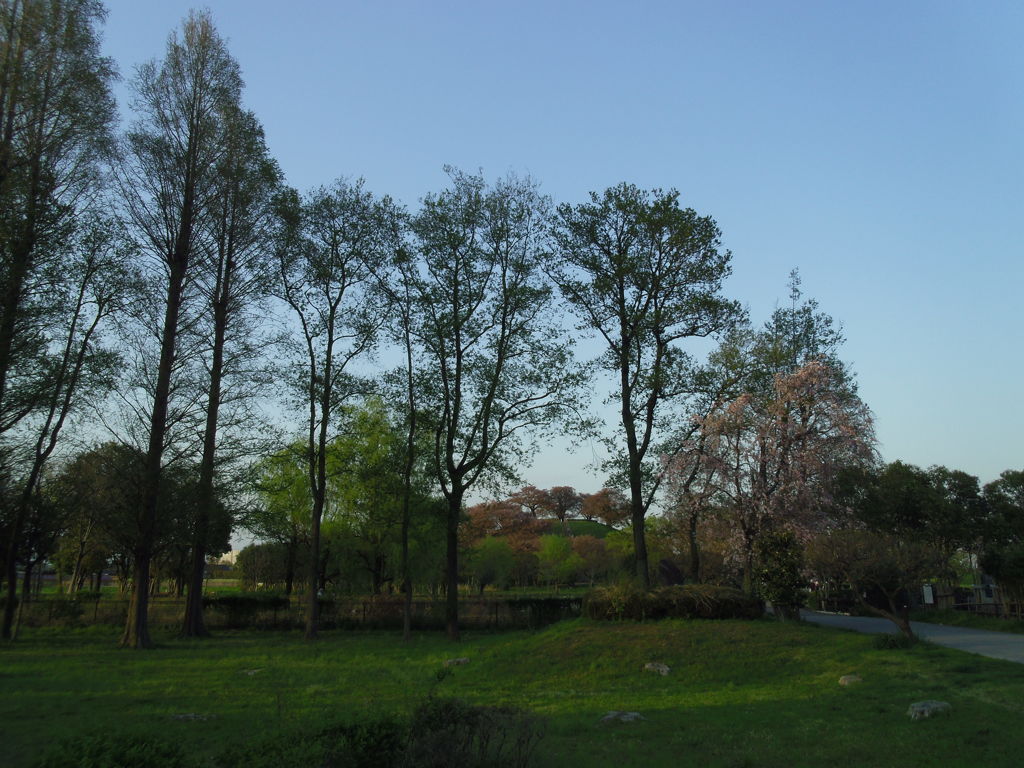 2017/04/16_さきたま古墳公園