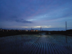 2017/06/25_水田の夕暮れ