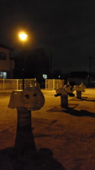 2013/12/23_夜のぼうの下公園1