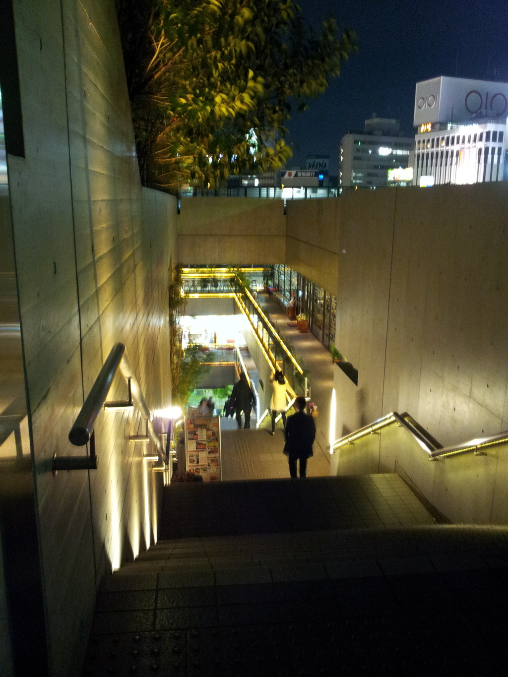 2015/04/03_夜のバンブーガーデン