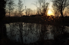 2015/02/11_ホタルの里