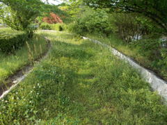 2017/05/14_後野公園