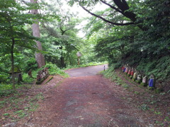 2018/06/16_天神山の石像群 坂東三十三番