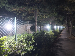 2015/10/31_夜の東部工業団地